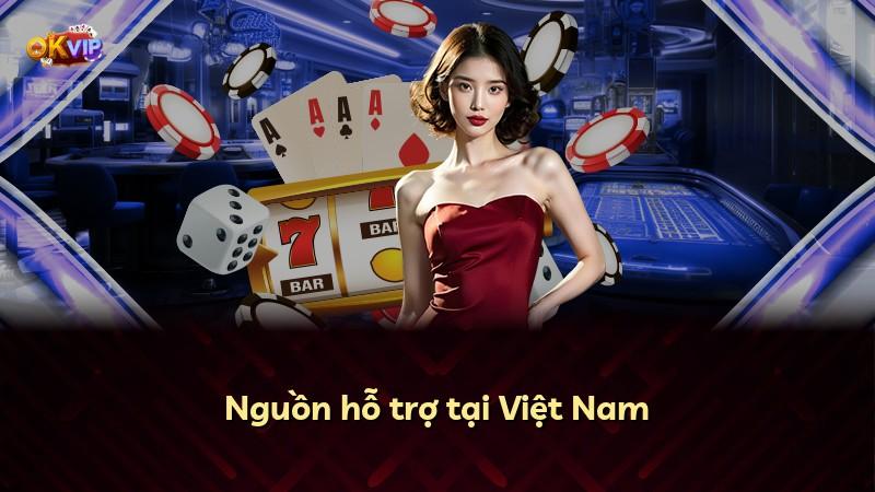 Nguồn hỗ trợ tại Việt Nam
